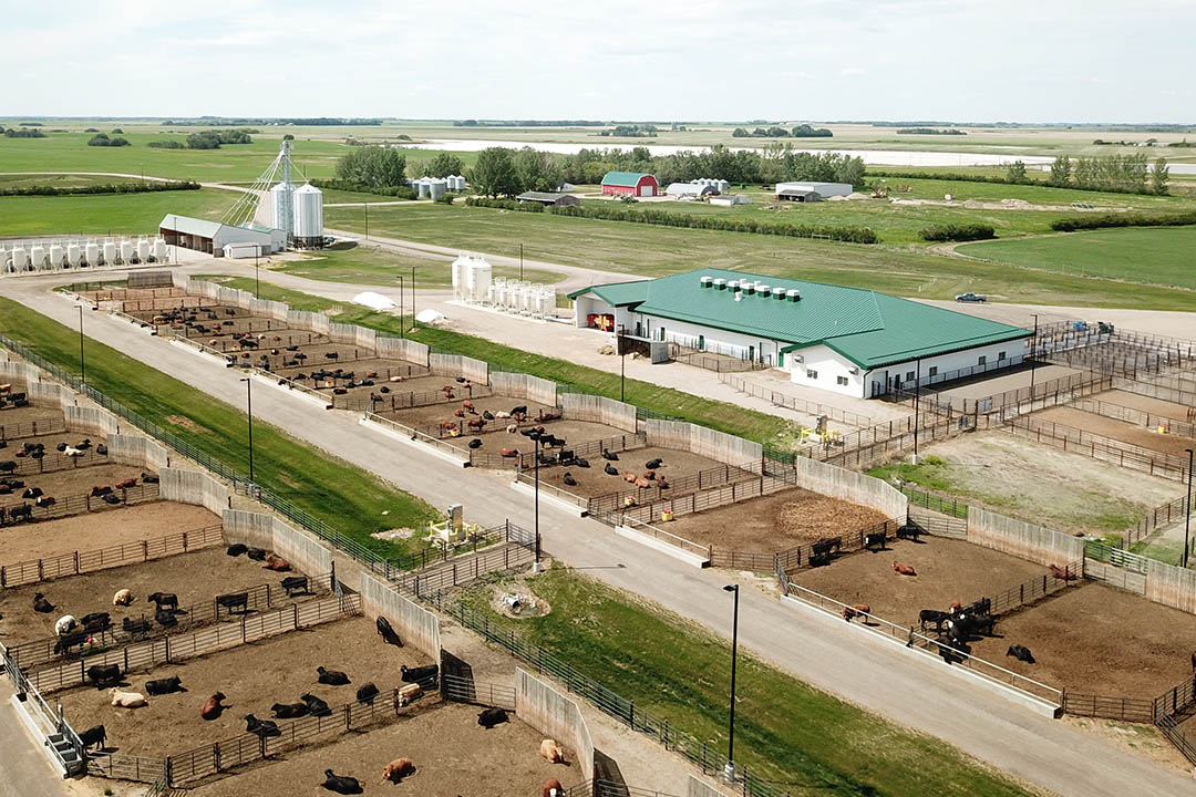 An aerial view of the Beef Cattle Research and Teaching Unit (BCRTU), one of the Livestock and Forage Centre of Excellence's three units. Photo: LFCE.