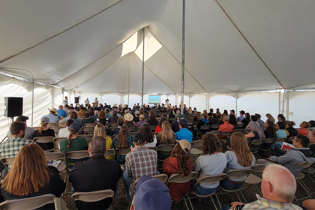More than 250 people attended the field day where Marit announced the government funding. Photo: Cindy Wright