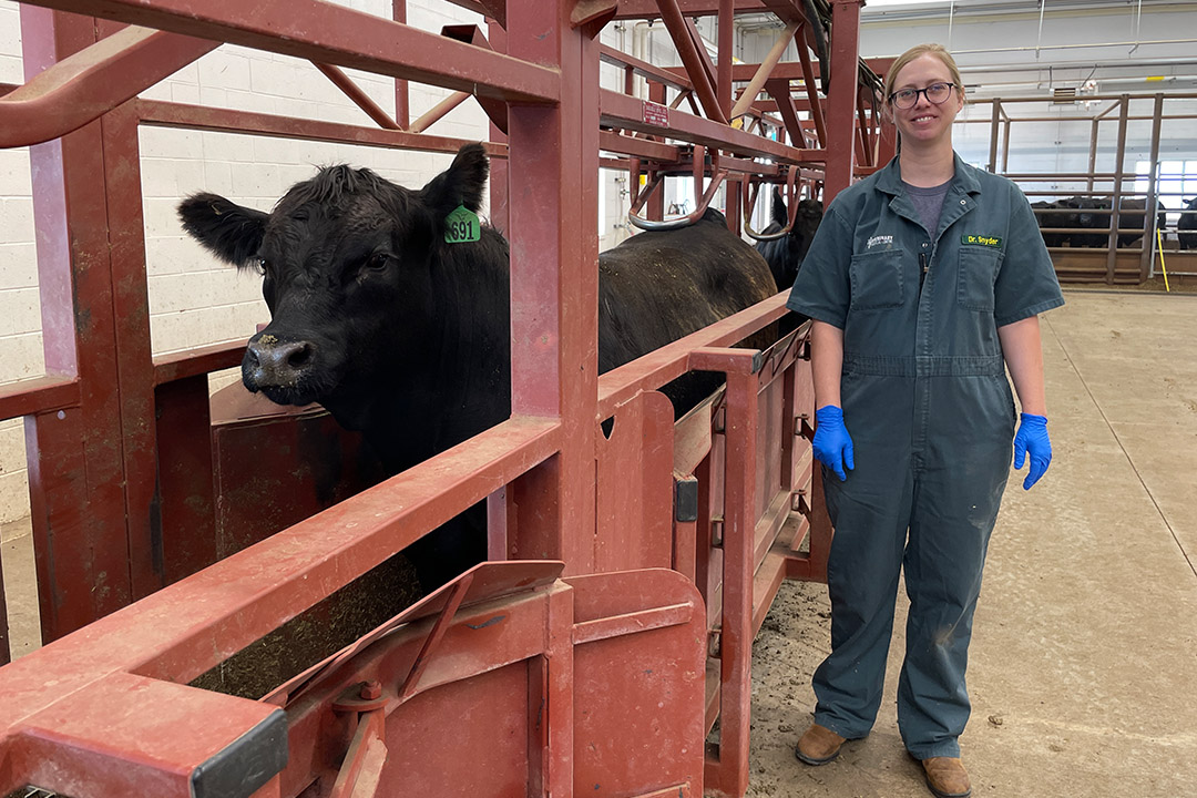 Dr. Emily Snyder is an assistant professor in the Department of Large Animal Clinical Sciences at the University of Saskatchewan’s Western College of Veterinary Medicine. Photo: Lana Haight