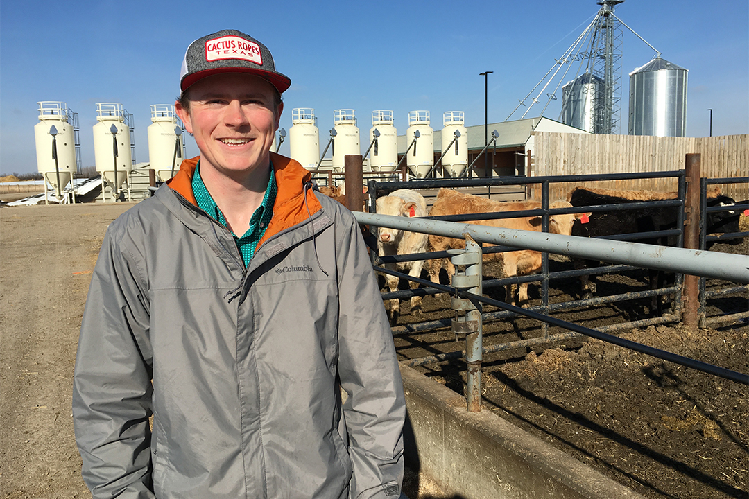 Graduate student Coleman Nixdorff is comparing different ways of processing barley for finishing cattle at the LFCE's Beef Cattle Research and Teaching Unit.