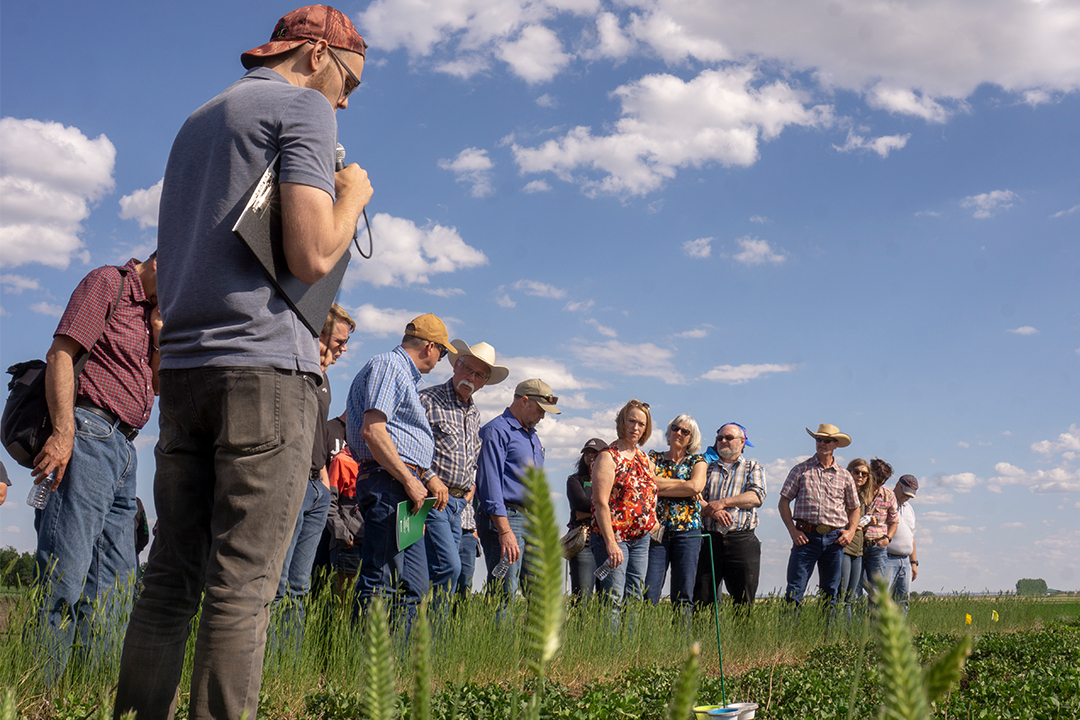 Dan Malamura, a Master of Science student in the Department of Plant Sciences in the College of Agriculture and Bioresources, talked about his research that integrates the management approach for optimizing red clover seed production. Photo: Gord Waldner
