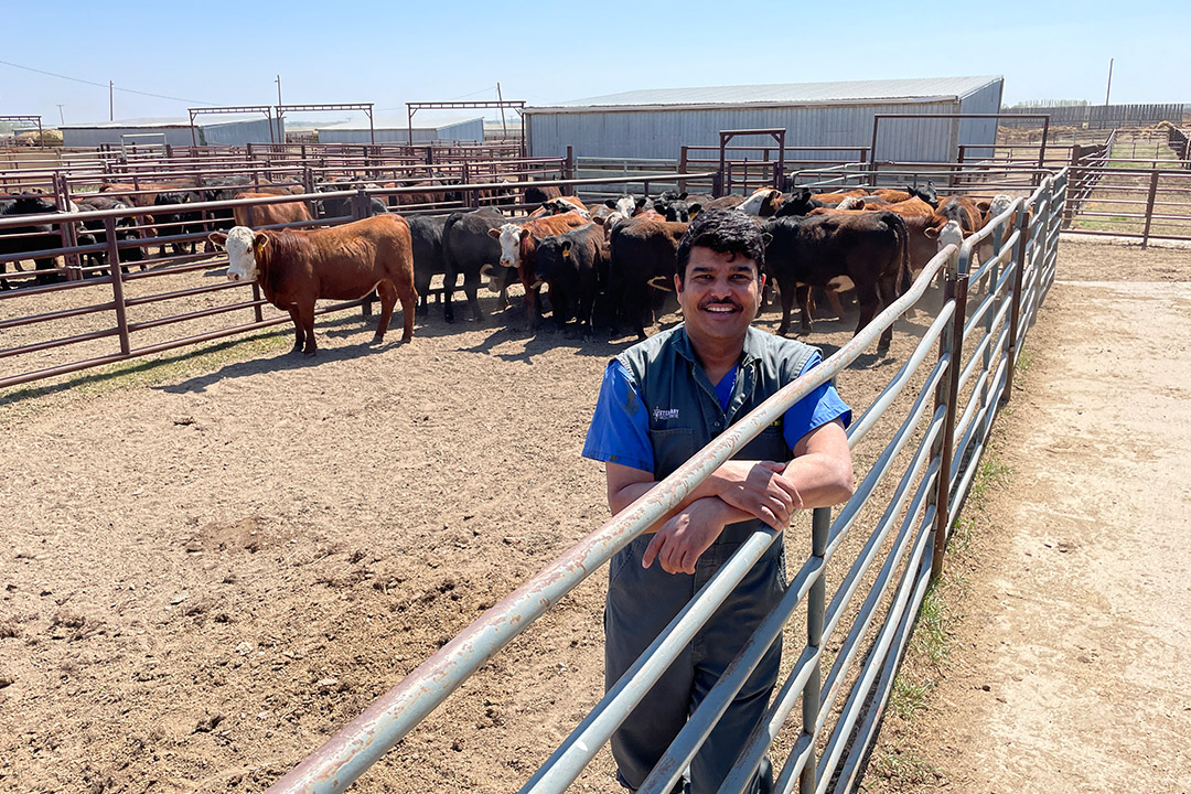 Dr. Dinesh Dadarwal (DVM, PhD, Diplomate ACT) will participate in a study at the LFCE, looking at the use of “ag-tech” to track cows during the calving season. Photo: Lana Haight