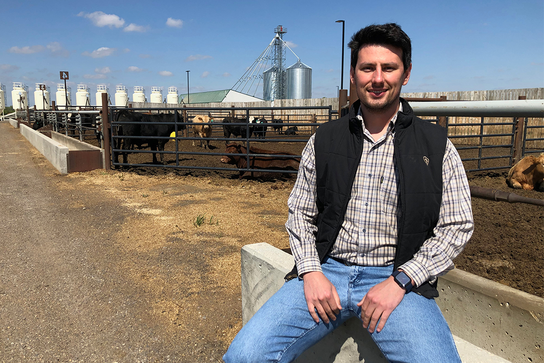 Dr. Murillo Pereira (PhD), a post-doctoral research fellow from Brazil, is the lead scientist on the USask-based projects to understand the role of fibre in feedlot cattle diets. Photo: Lana Haight